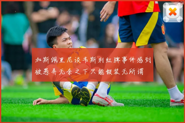 加斯佩里尼谈韦斯利红牌事件感到被愚弄无奈之下只能假装无所谓