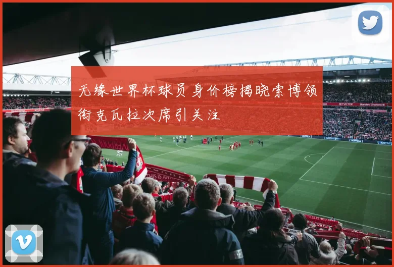 无缘世界杯球员身价榜揭晓索博领衔克瓦拉次席引关注